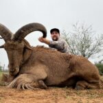 Giant aoudad sheep with an excited hunter after a successful hunt.