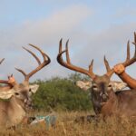 Father and son display their management buck and 150” class buck